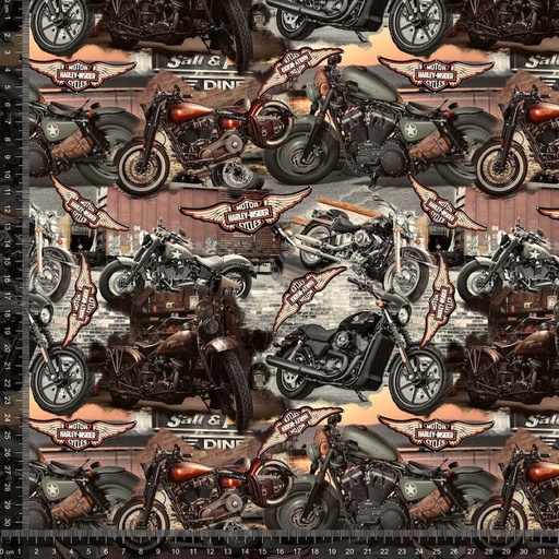 Jersey Harley Davidson