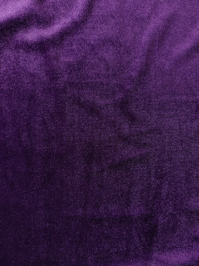 Stretch Velour Purple