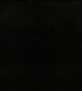 Bomullsfleece Svart