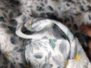 Lin Hilja