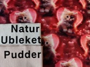 Jersey Katte Kjærlighet