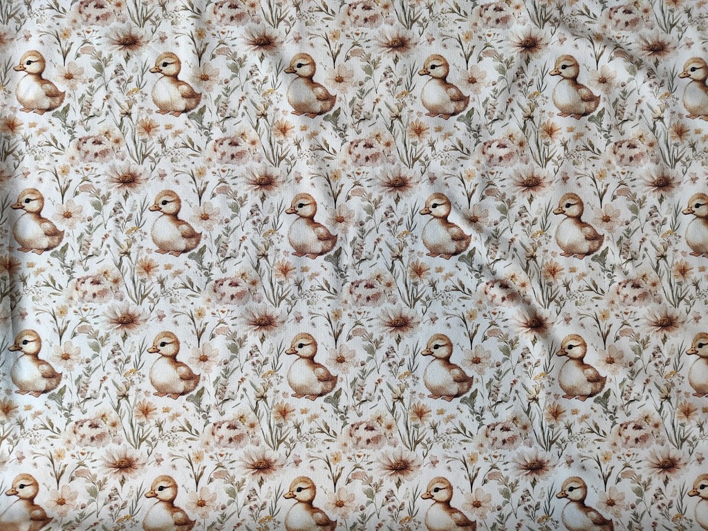 Jersey - Sweet Duck