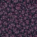 Poplin 