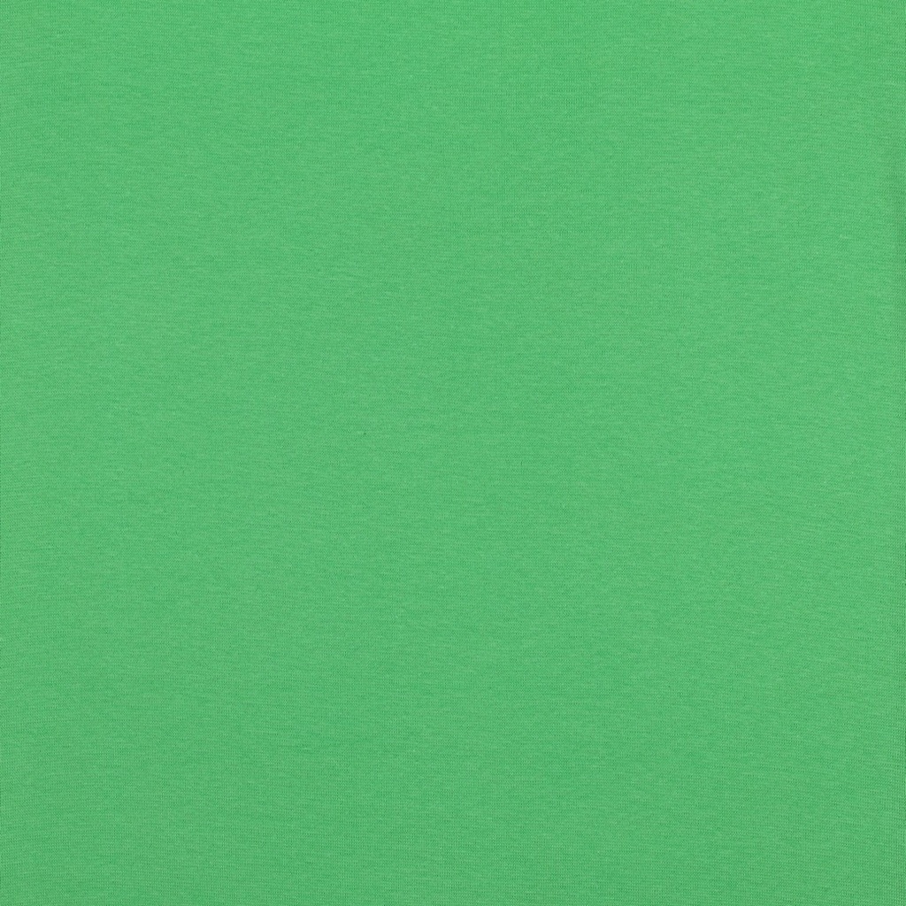 Ribb Lys Lime