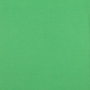 Ribb Lys Lime