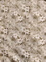 Stoffbit (3m) - Jersey Sarah