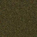 Shetland Ull - Grønn