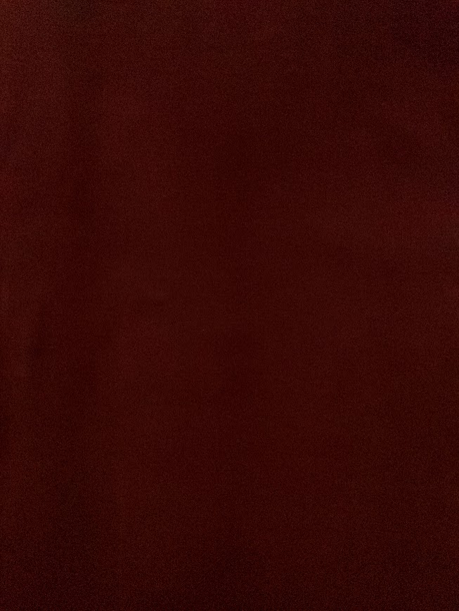 Ribb Brun (22)