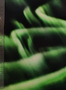 Jersey Nordlys Grønn (2)