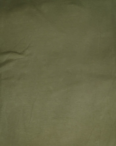 Isoli Lys Khaki Grønn (54)