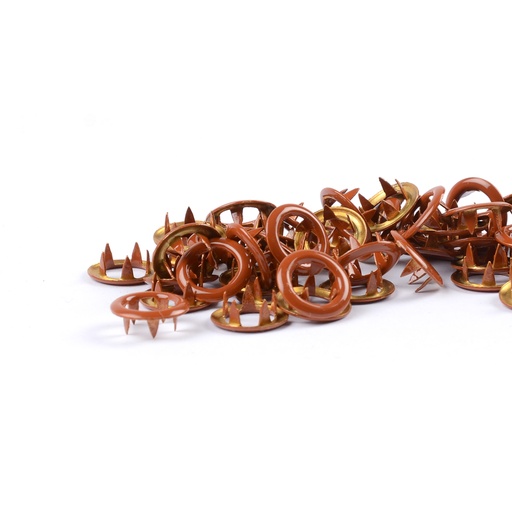 [505390] Trykknapper Ring Pecan