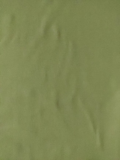 Bomullsjersey Lys Khaki Grønn (54)