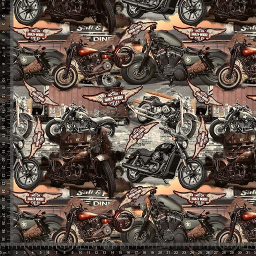 Jersey Harley Davidson (1 meters bit)