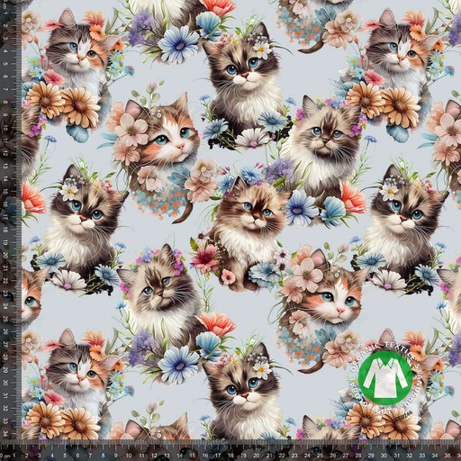 Jersey Søte Katter